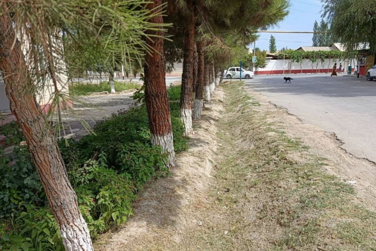 Community Clean-Up and Beautification Efforts Continue in Mahallas