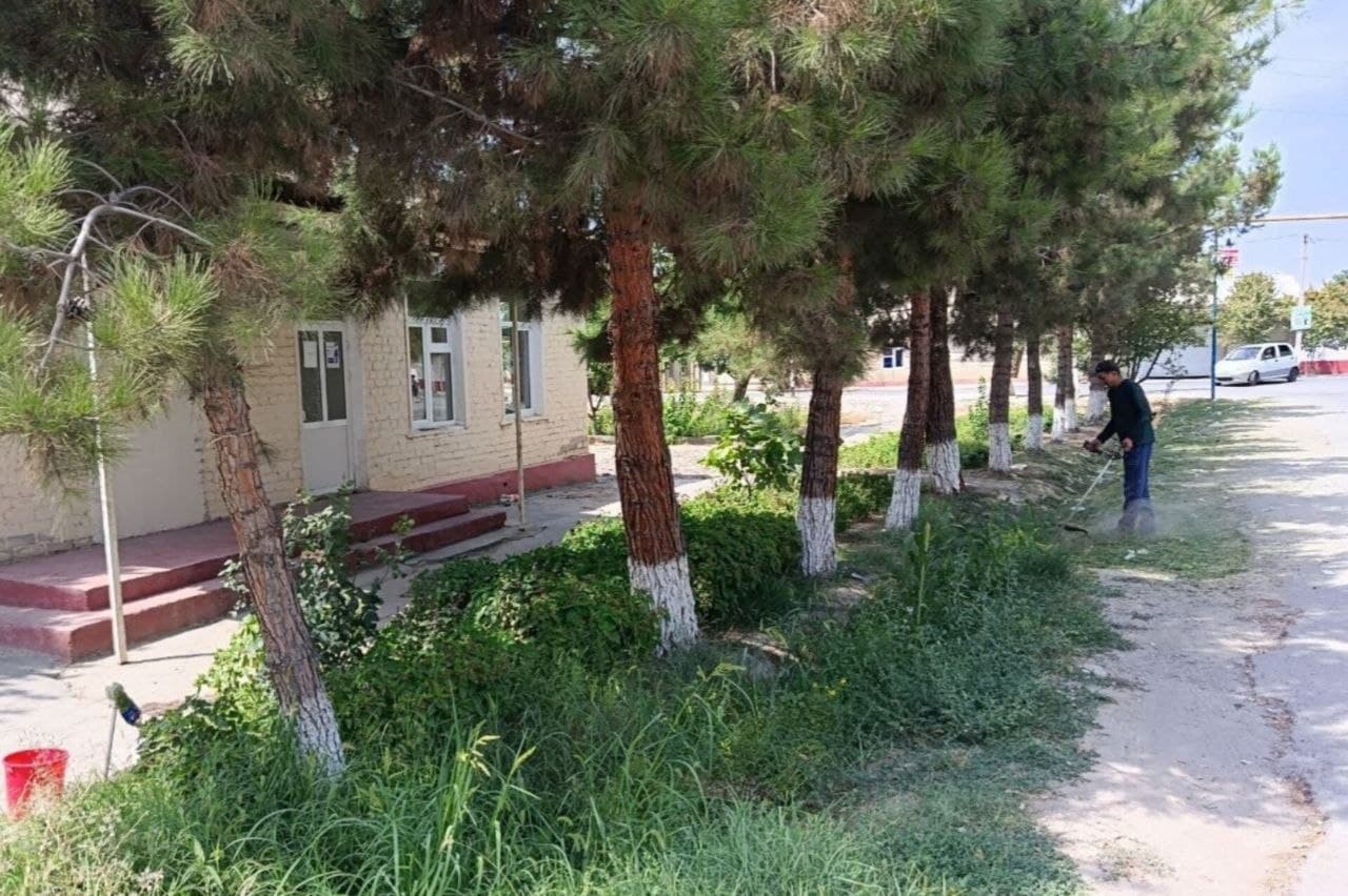 Community Clean-Up and Beautification Efforts Continue in Mahallas