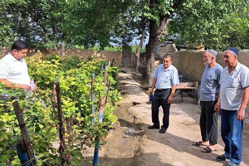 Practical Work Carried Out in the “Sanoat” Mahalla