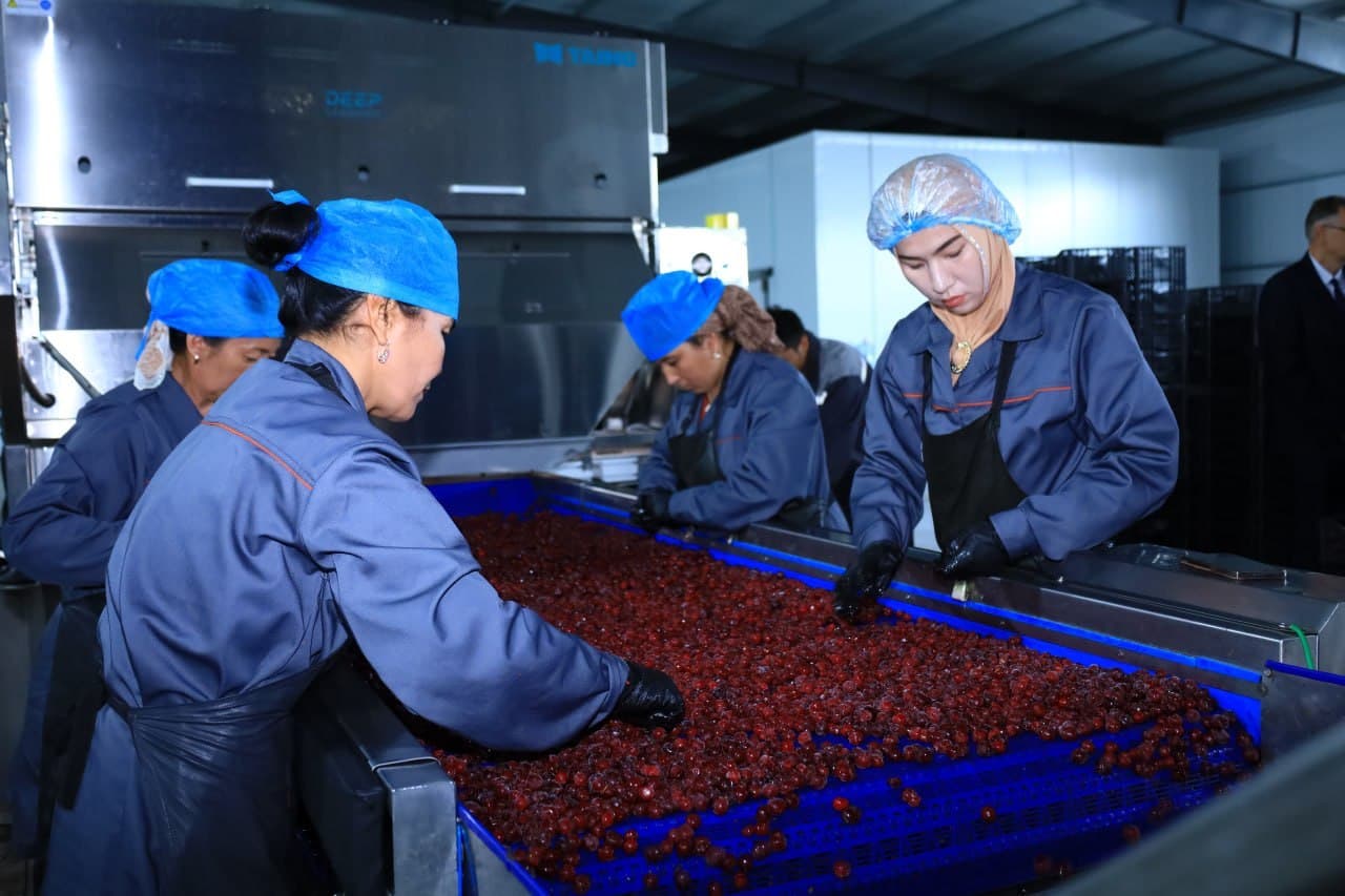 Joint Projects with Belarusian Investors Being Implemented