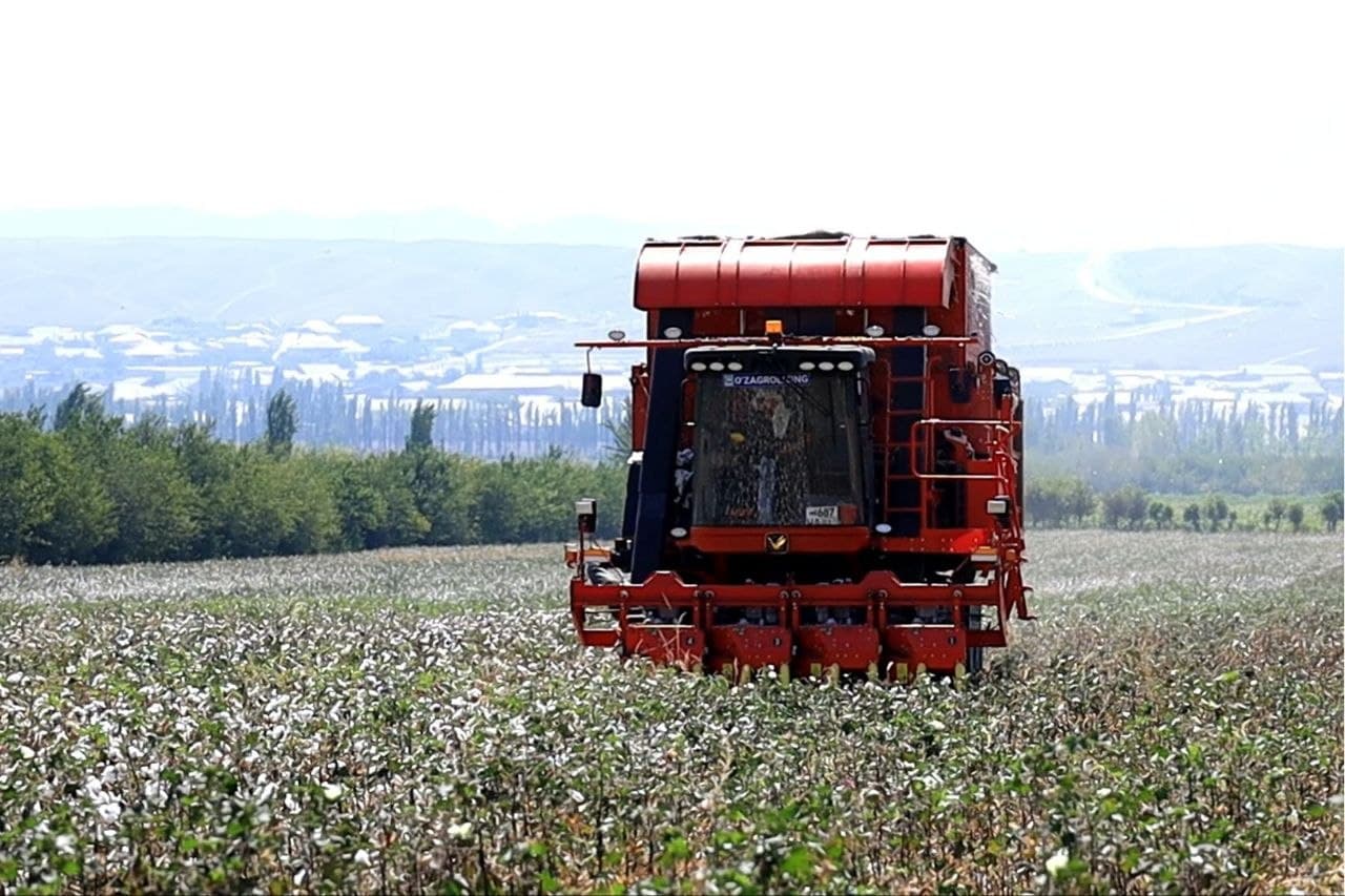 Cotton Growers in Fergana District Exceed Their Contractual Target