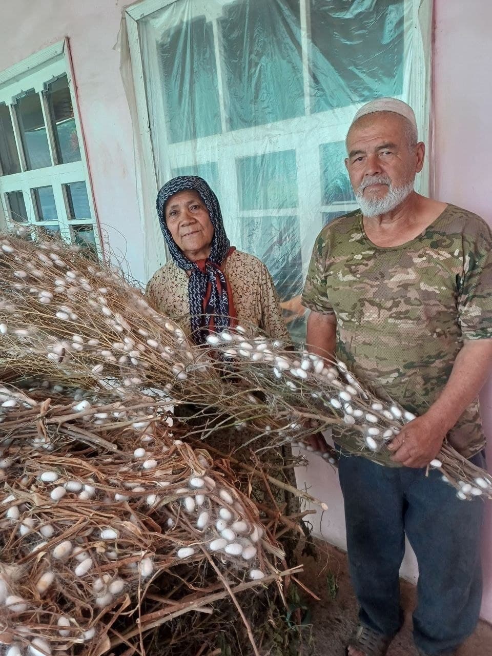 Oltiariq tumanida pillakorlar shartnoma rejasini muvaffaqiyatli bajardi