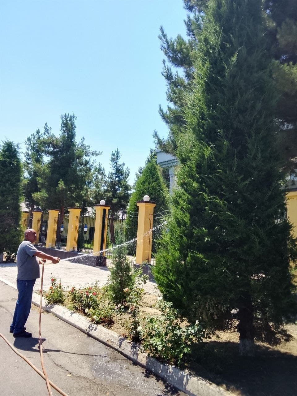 Jazirama kunlarda daraxt va ko‘chatlarni sug‘orish ishlari kuchaytirildi