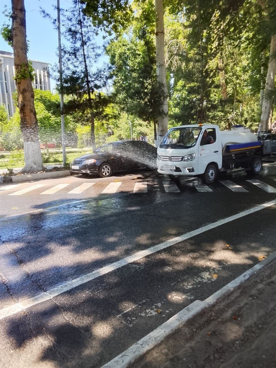 Jazirama kunlarda daraxt va ko‘chatlarni sug‘orish ishlari kuchaytirildi
