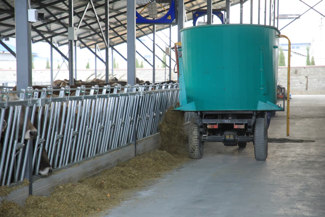 **The Number of Pedigree Cattle Is Increasing**