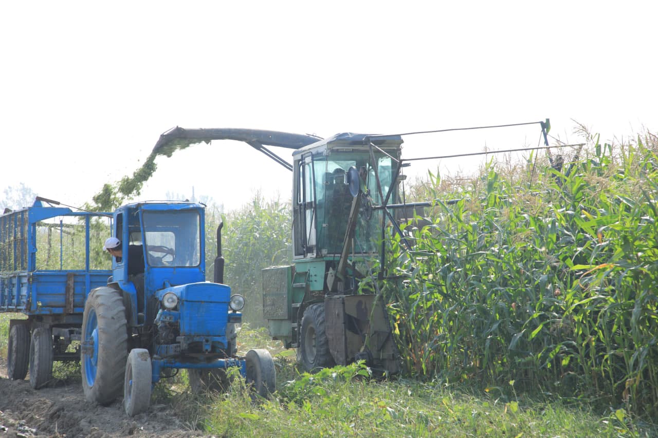 **From Secondary Crops to Autumn Grain Sowing**