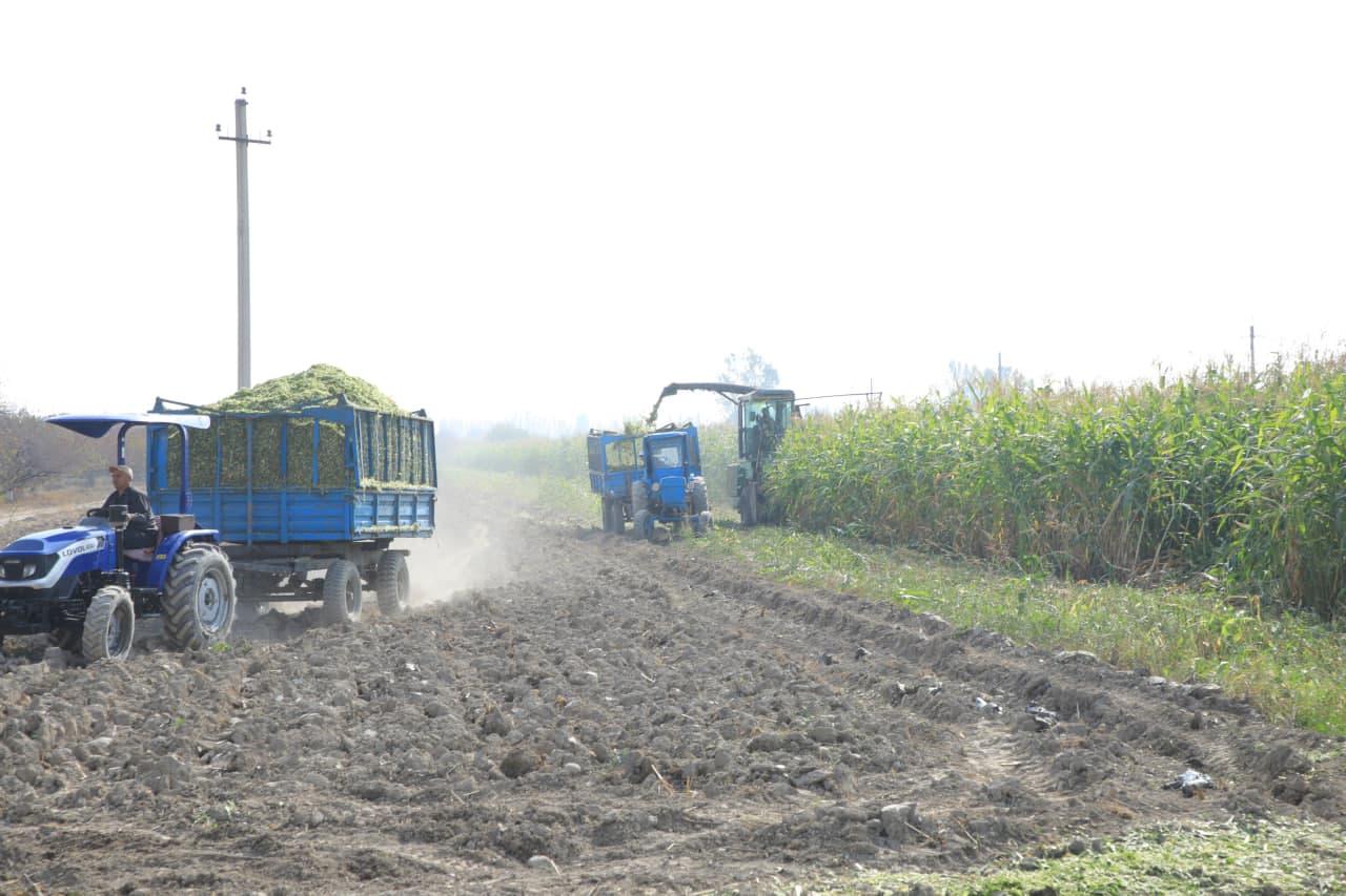 **From Secondary Crops to Autumn Grain Sowing**