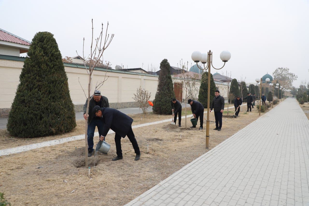 As part of the “Yashil Makon” (Green Space) project, a mass tree-planting event was held at the “Pur Siddiq” complex in the city of Margilan