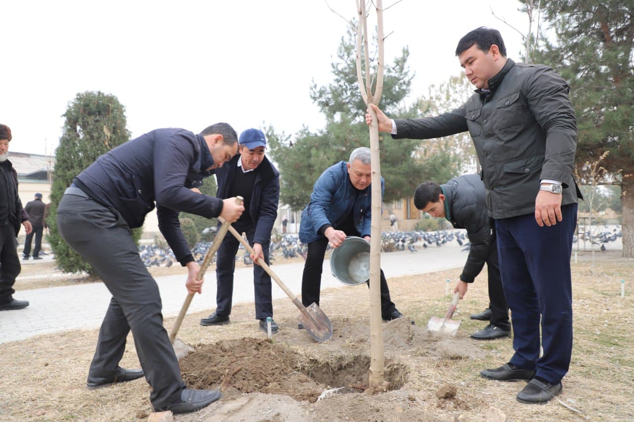 As part of the “Yashil Makon” (Green Space) project, a mass tree-planting event was held at the “Pur Siddiq” complex in the city of Margilan