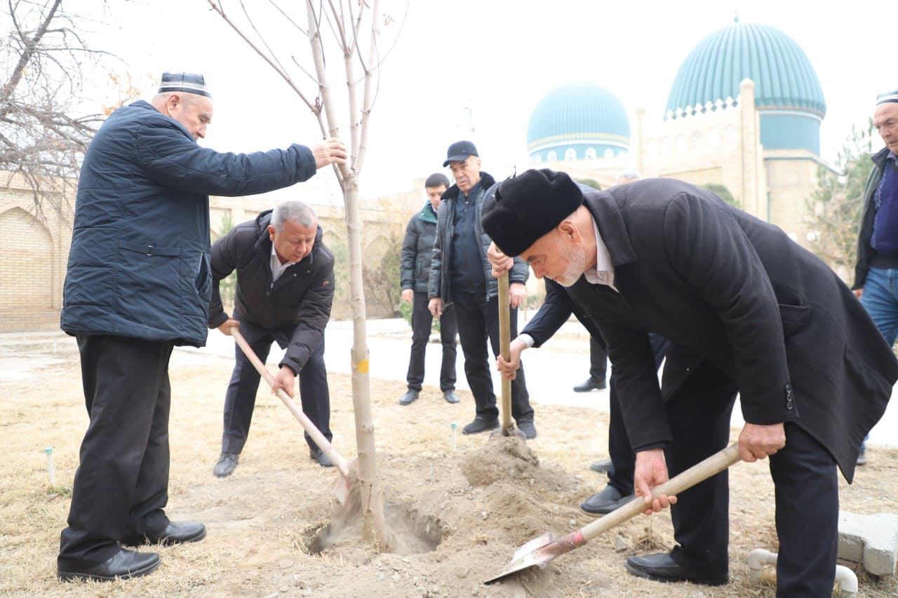 As part of the “Yashil Makon” (Green Space) project, a mass tree-planting event was held at the “Pur Siddiq” complex in the city of Margilan
