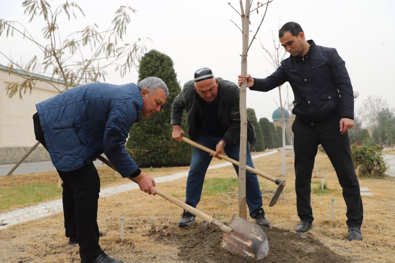 As part of the “Yashil Makon” (Green Space) project, a mass tree-planting event was held at the “Pur Siddiq” complex in the city of Margilan