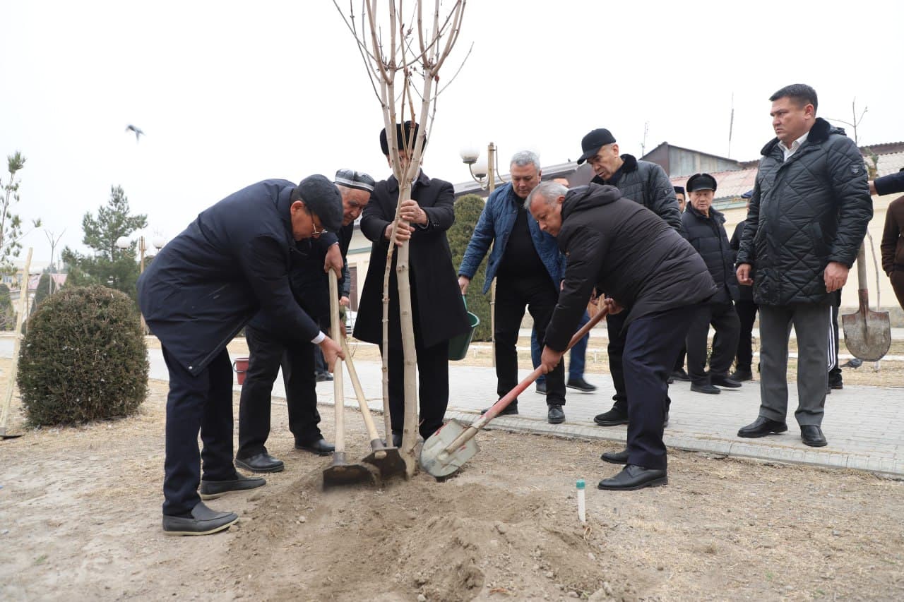 As part of the “Yashil Makon” (Green Space) project, a mass tree-planting event was held at the “Pur Siddiq” complex in the city of Margilan