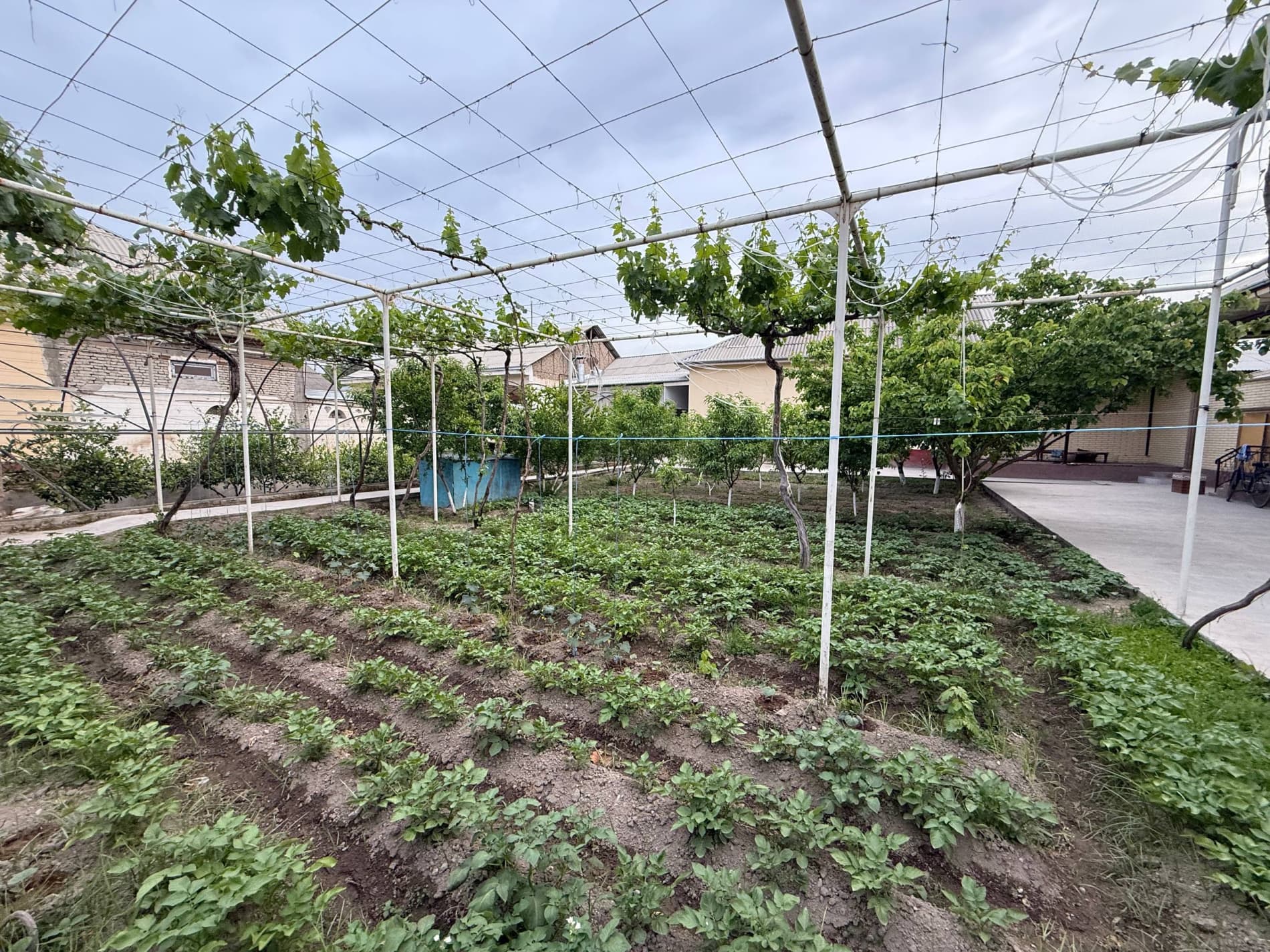 Қандай бой бўлса бўлади?