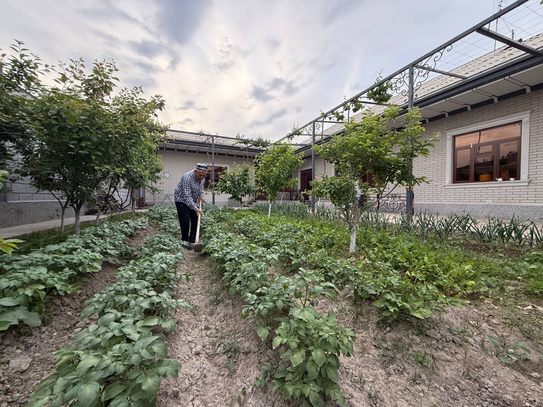 Қандай бой бўлса бўлади?