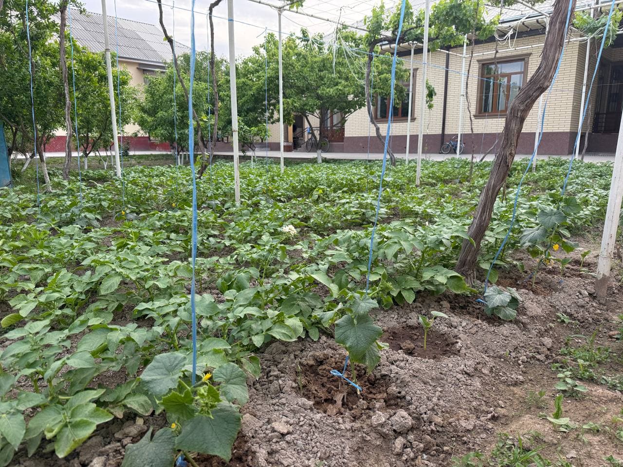 Қандай бой бўлса бўлади?