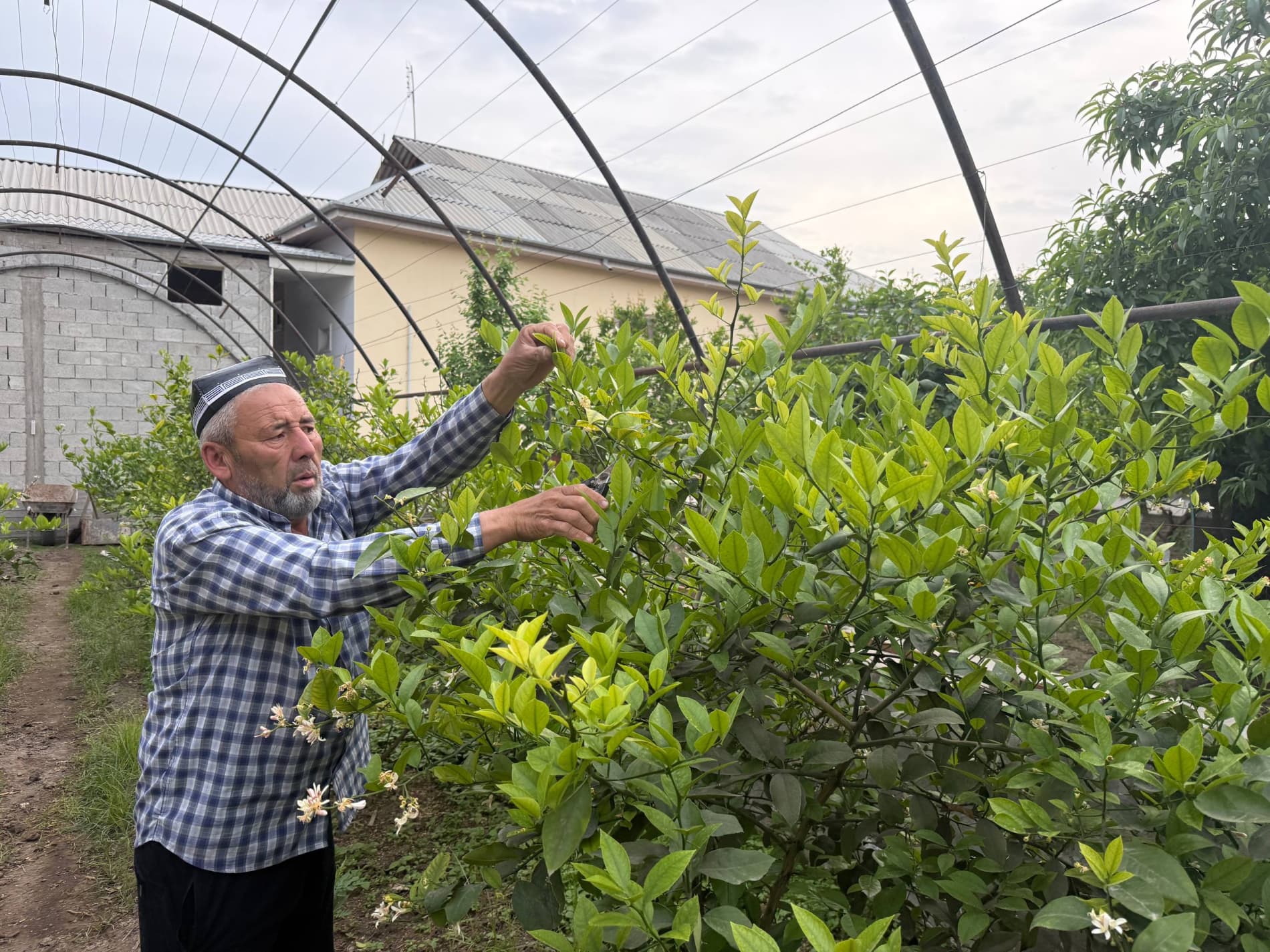 Қандай бой бўлса бўлади?