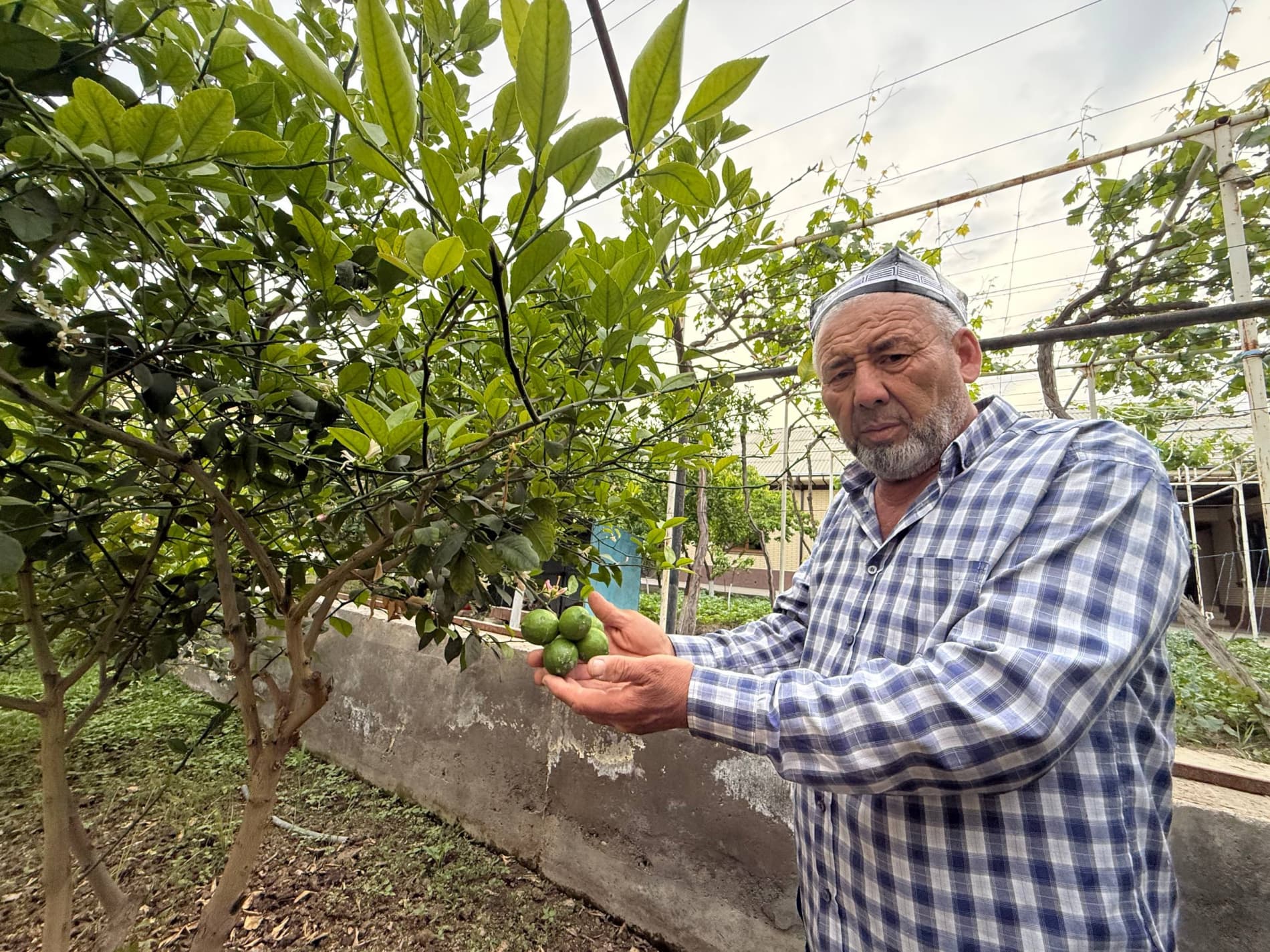 Қандай бой бўлса бўлади?