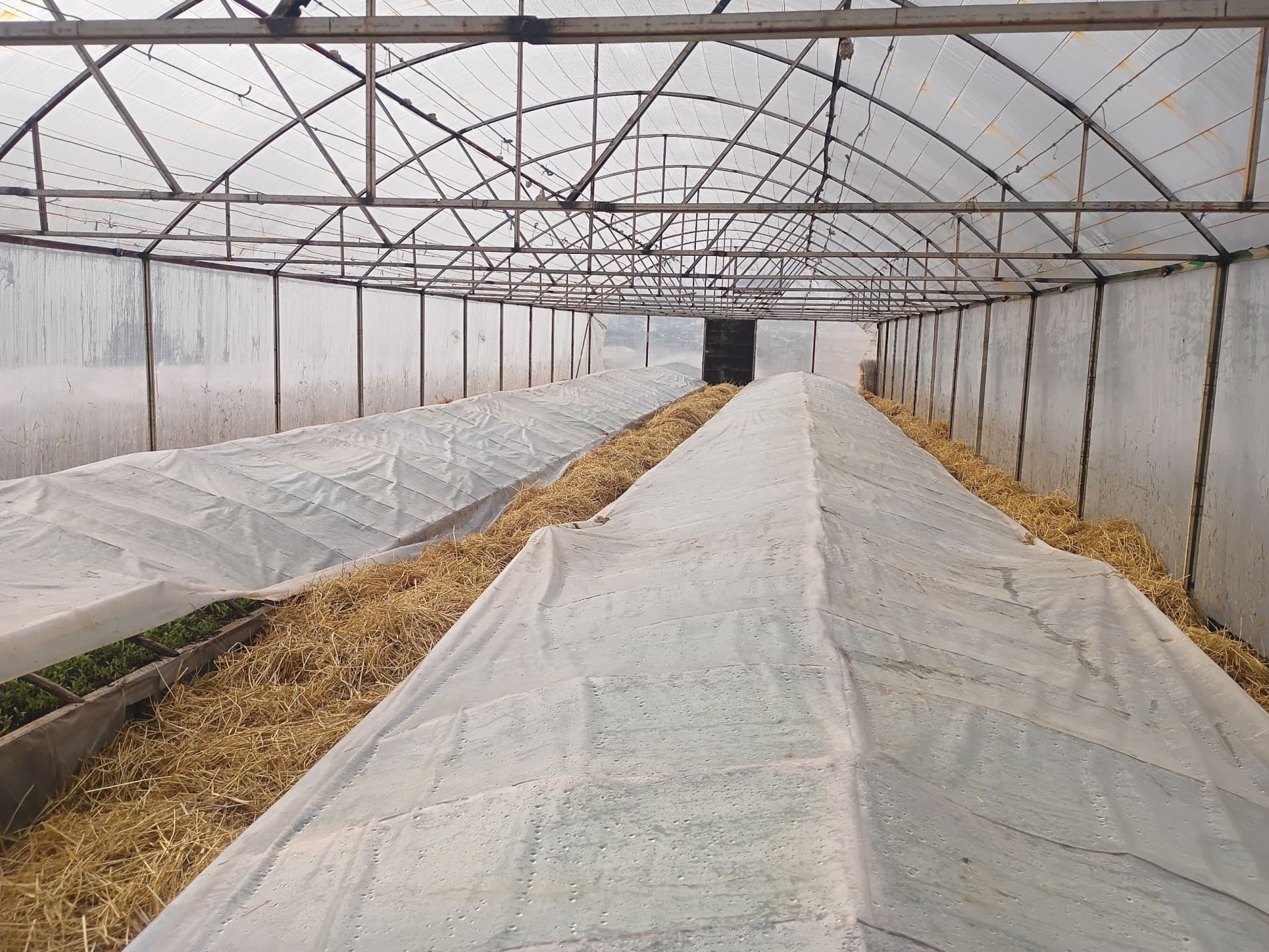 Buvayda tumani hokimi Nayman MFYda amalga oshirilayotgan ishlar bilan tanishdi