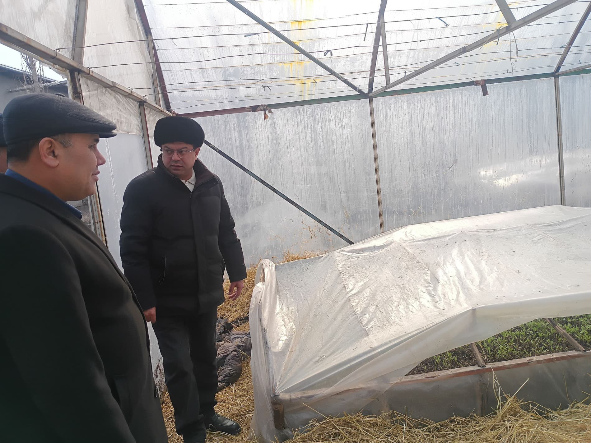 Buvayda tumani hokimi Nayman MFYda amalga oshirilayotgan ishlar bilan tanishdi