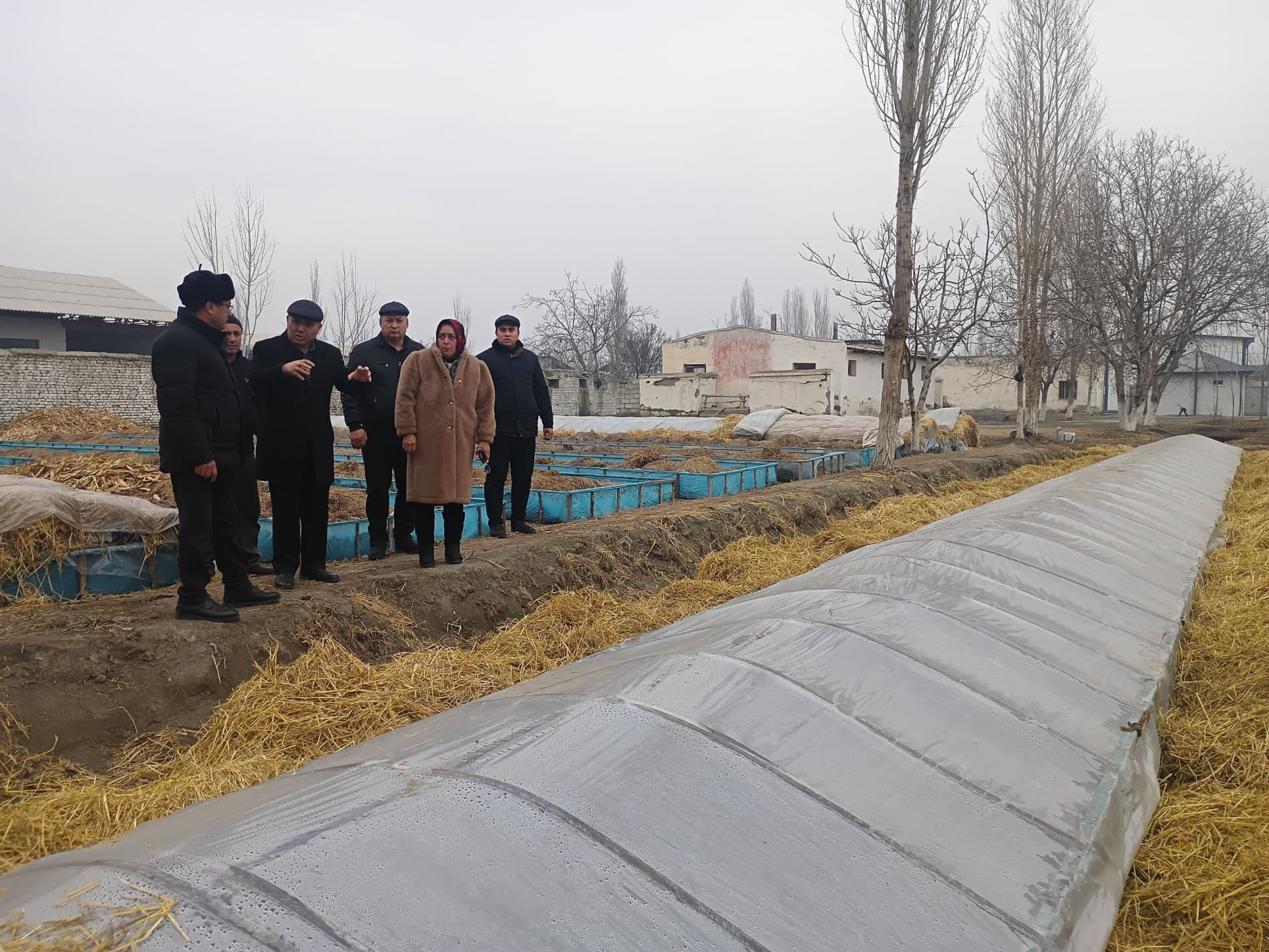 Buvayda tumani hokimi Nayman MFYda amalga oshirilayotgan ishlar bilan tanishdi