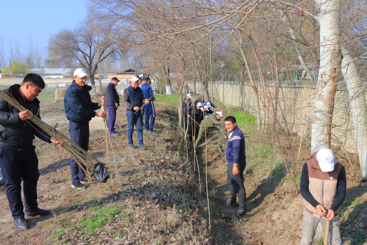 Buvayda tumanida yoshlar ishtirokida obodonlashtirish ishlari olib borilmoqda