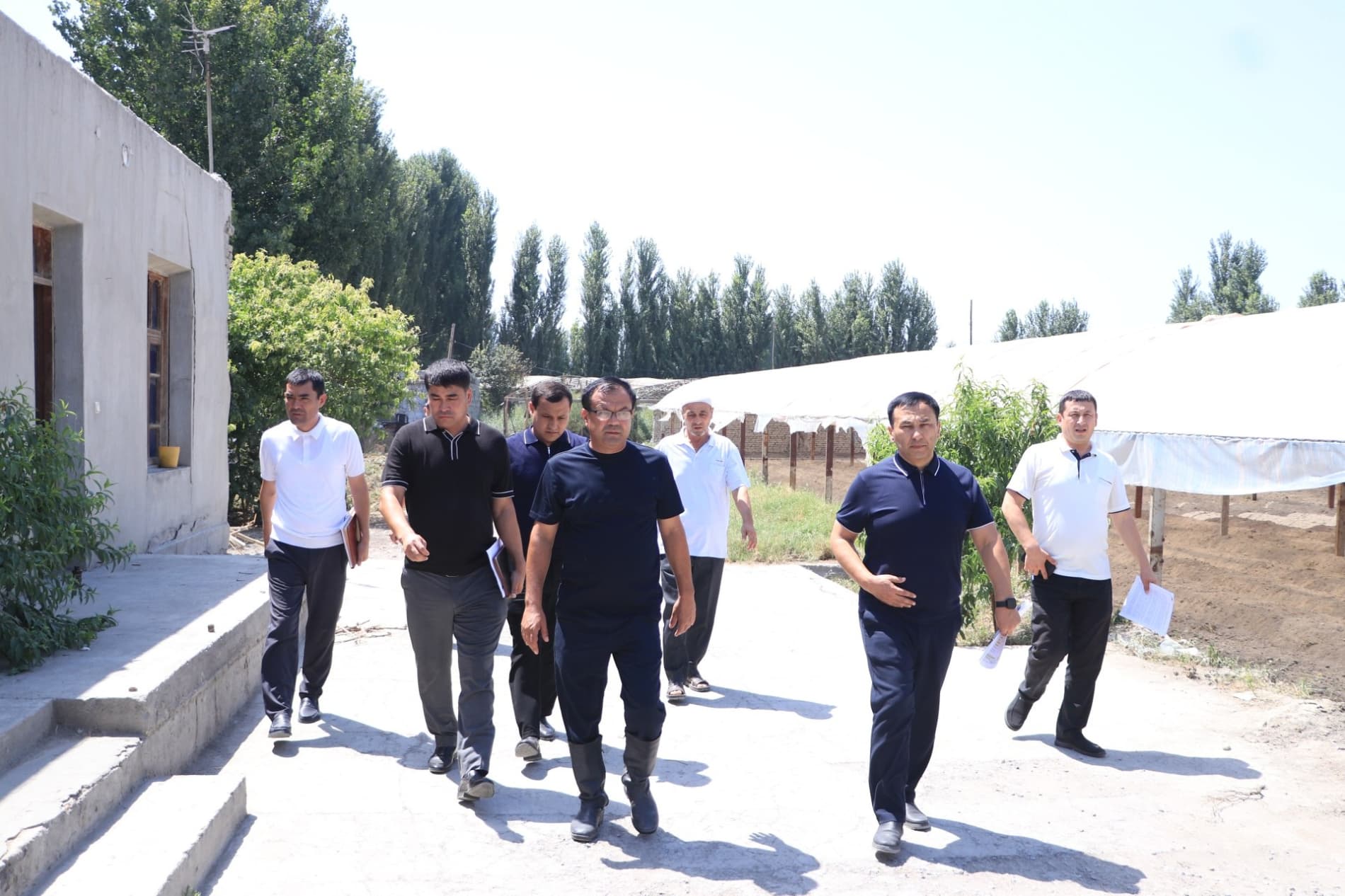 Poultry Farming — A Source of Income for the Mahalla