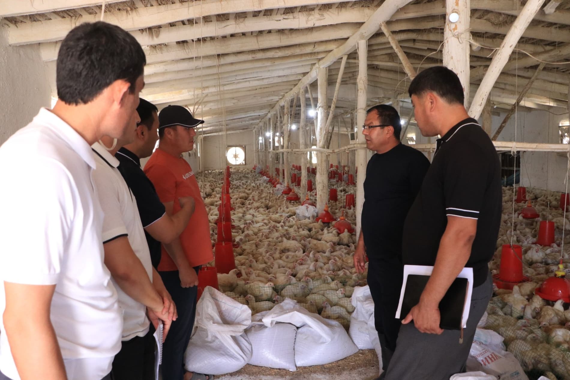 Poultry Farming — A Source of Income for the Mahalla
