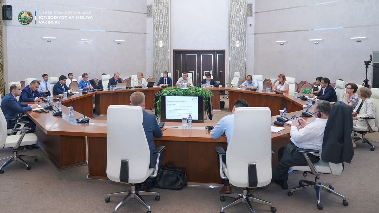 Holding a workshop on step-by-step abolition of fossil fuel subsidies at the Ministry of Economy and Finance