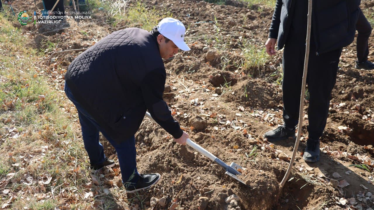 “Within the framework of the nationwide “Yashil Makon” initiative, employees of the Ministry of Economy and Finance carried out the next tree-planting campaign