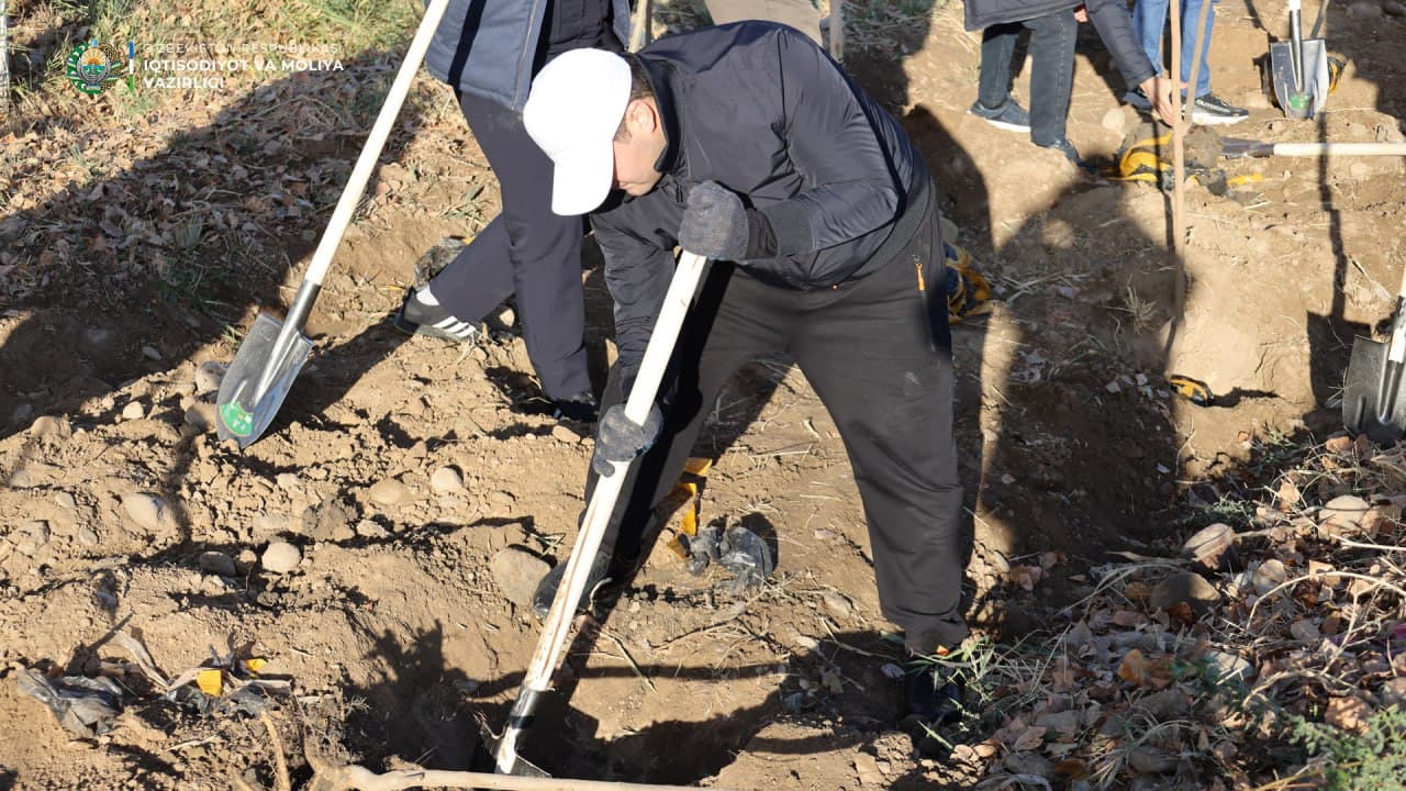 “Within the framework of the nationwide “Yashil Makon” initiative, employees of the Ministry of Economy and Finance carried out the next tree-planting campaign