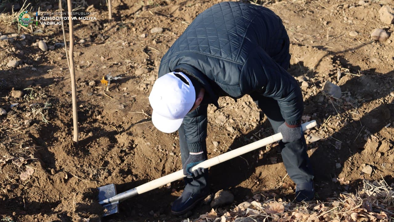 “Within the framework of the nationwide “Yashil Makon” initiative, employees of the Ministry of Economy and Finance carried out the next tree-planting campaign