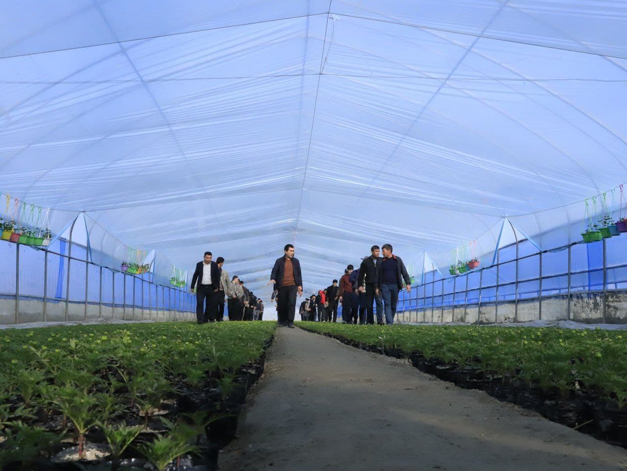 Пайшанба—Ёшлар куни