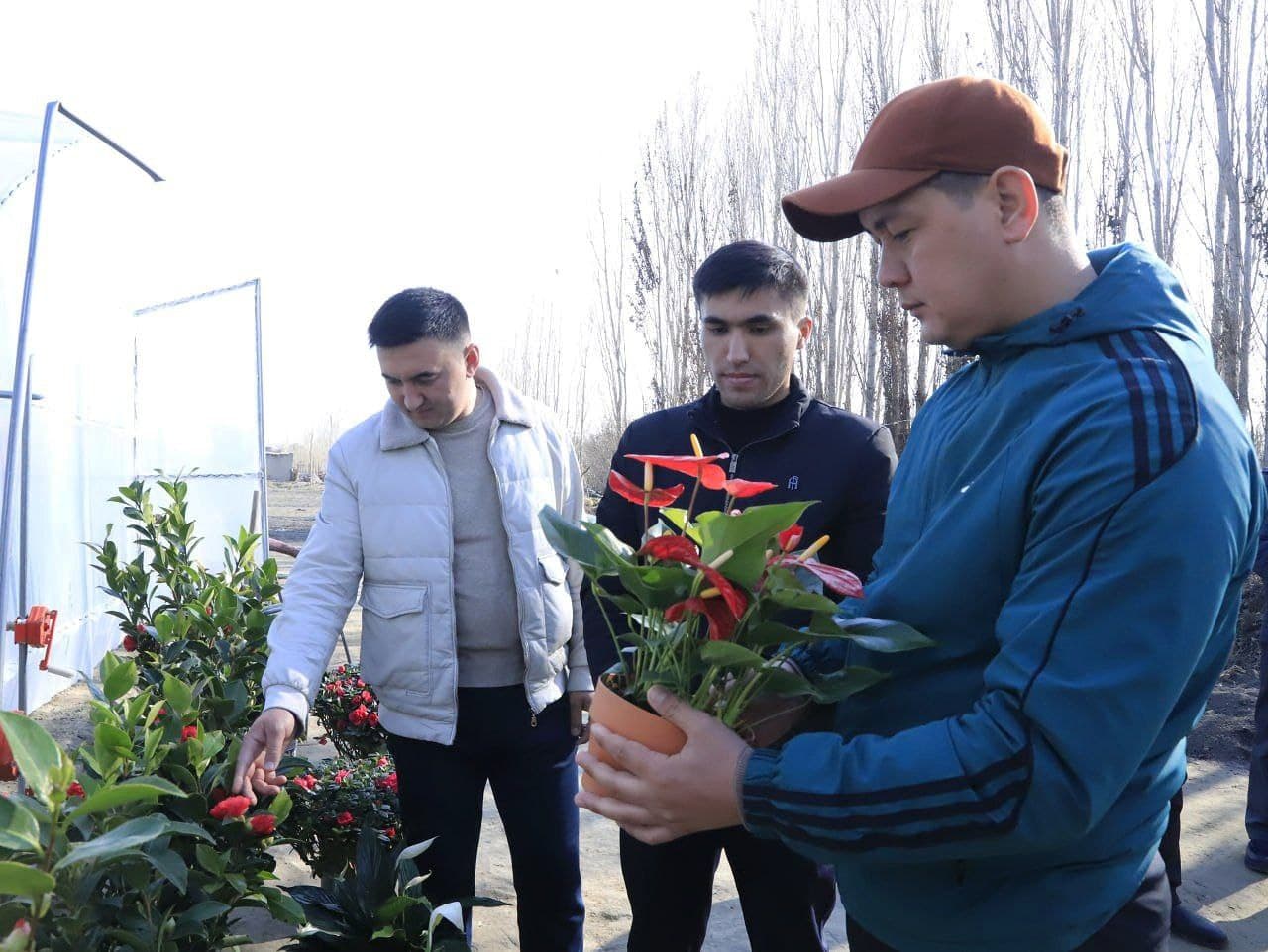 Пайшанба—Ёшлар куни