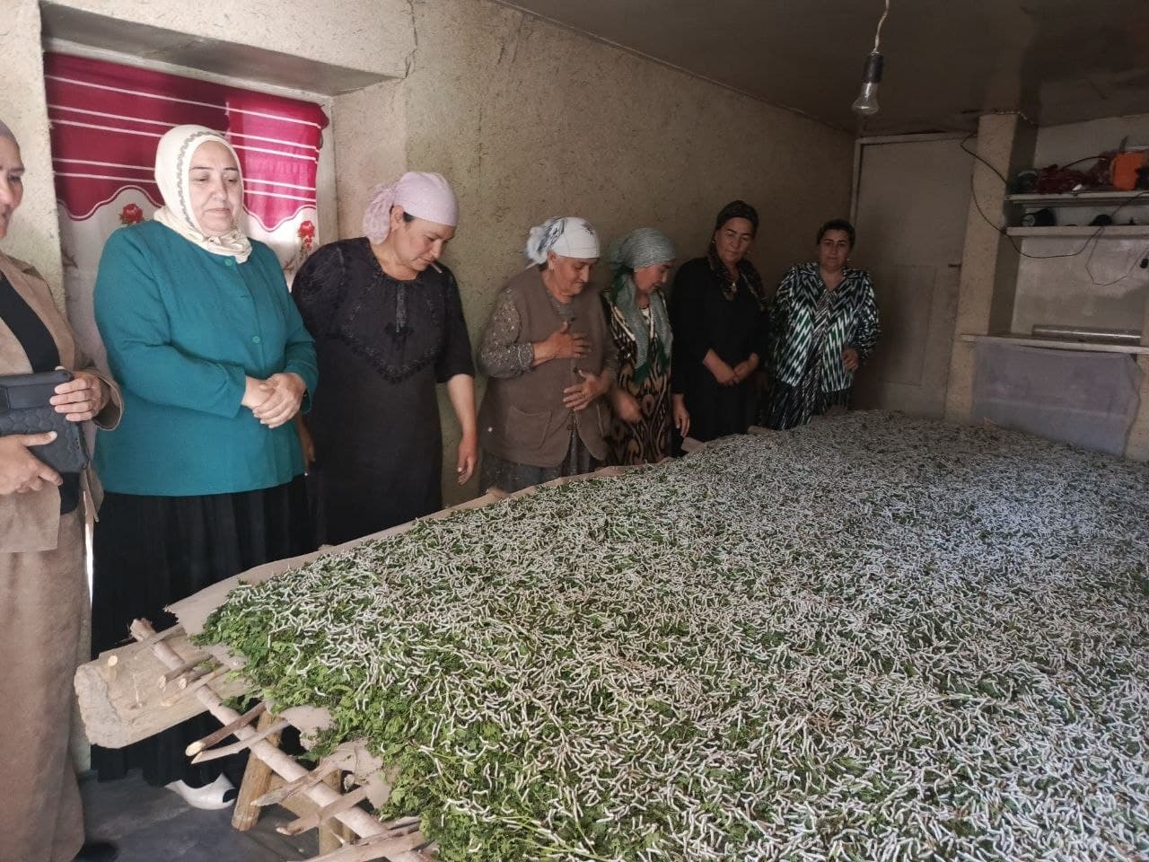 📌 QURTCHILIK SOHASIDAGI OILALAR HOLATI O‘RGANILDI