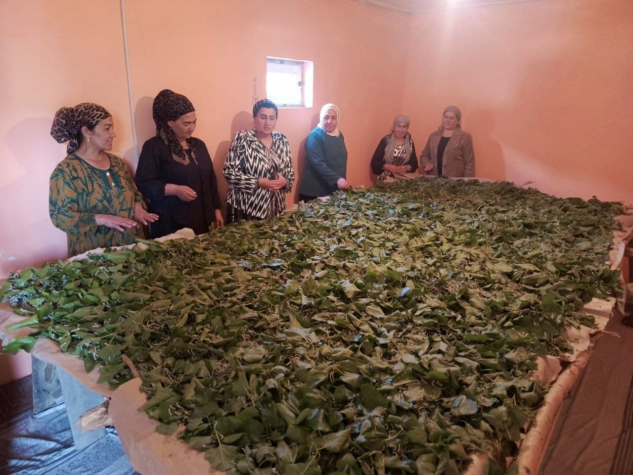 📌 QURTCHILIK SOHASIDAGI OILALAR HOLATI O‘RGANILDI