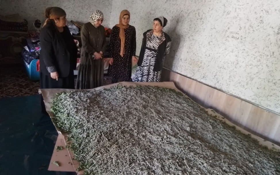 📍 SO‘X TUMANIDA AMALIY ISHLAR DAVOM ETMOQDA