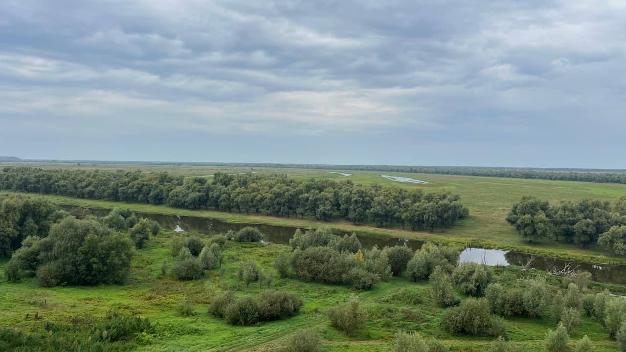 🇺🇿🇷🇺 СЎХ ДЕЛЕГАЦИЯСИ ОМСК ВИЛОЯТИ ТУМАНЛАРИДА ҚИШЛОҚ ХЎЖАЛИГИ ИМКОНИЯТЛАРИНИ ЎРГАНДИ