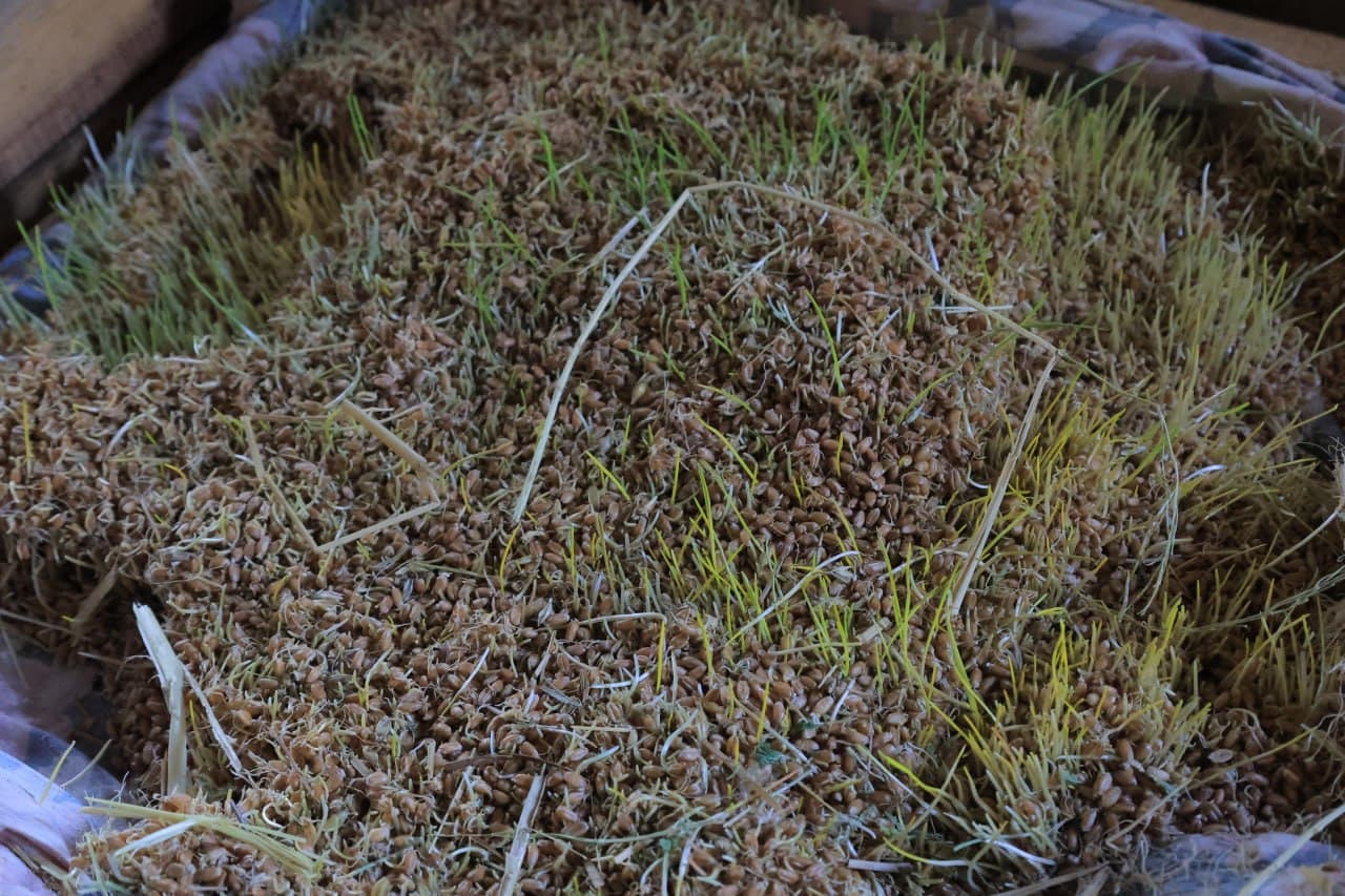 TUTKUNDALIK ILG'OR CHORVADOR SAMARALI MEHNATI ORTIDAN YAXSHIGINA DAROMADGA EGA BO'LMOQDA!