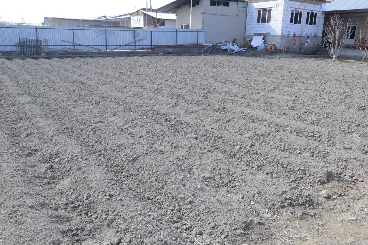 Tutkunda MFY| Fozilovlar xonadonida tomorqa va parrandachilik – farovonlik omili bo'lib xizmat qilmoqda