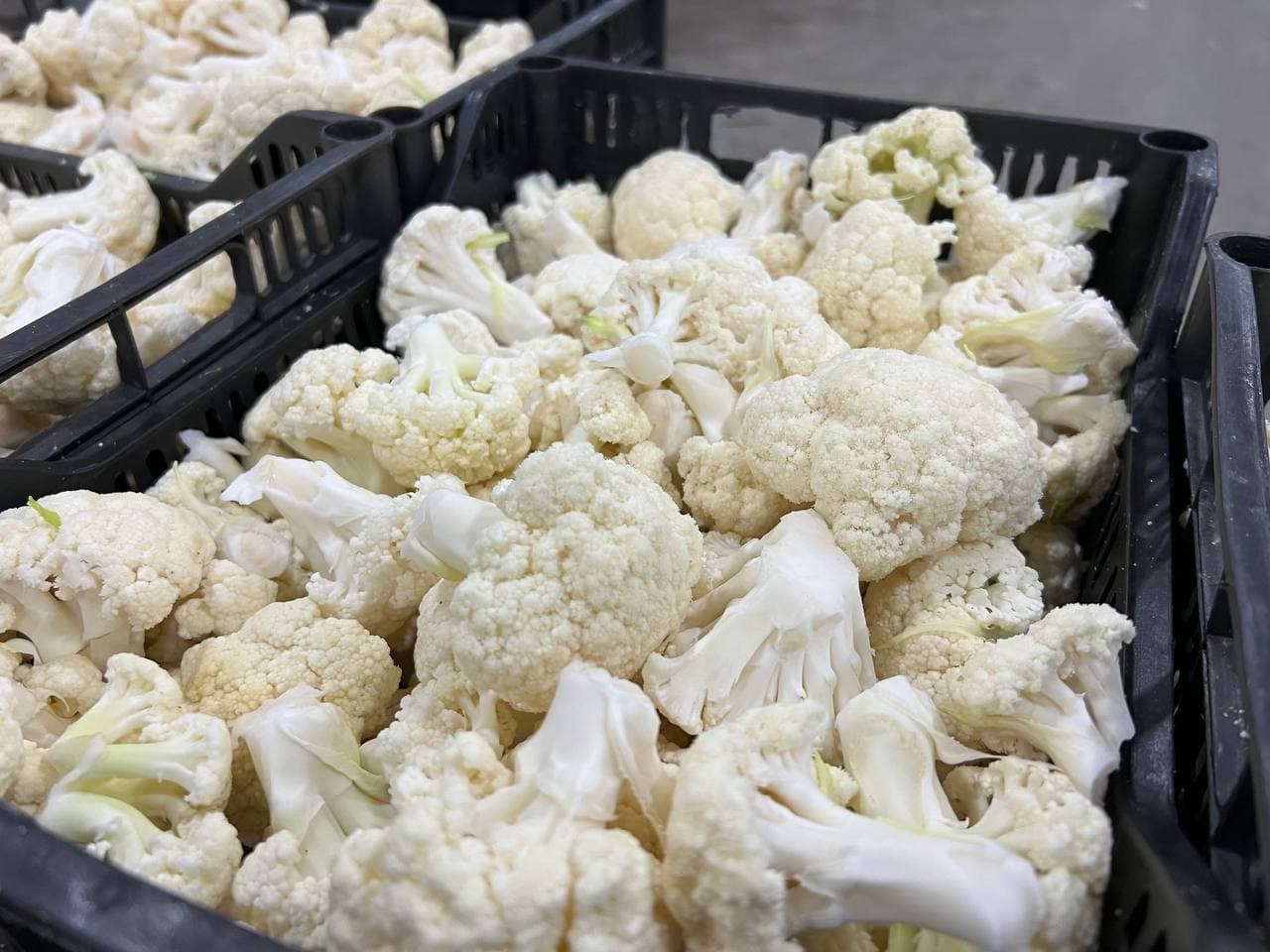 “Ғиждувон Машхураси” МЧЖ: 2025-йил фаолияти ва экспорт натижалари.