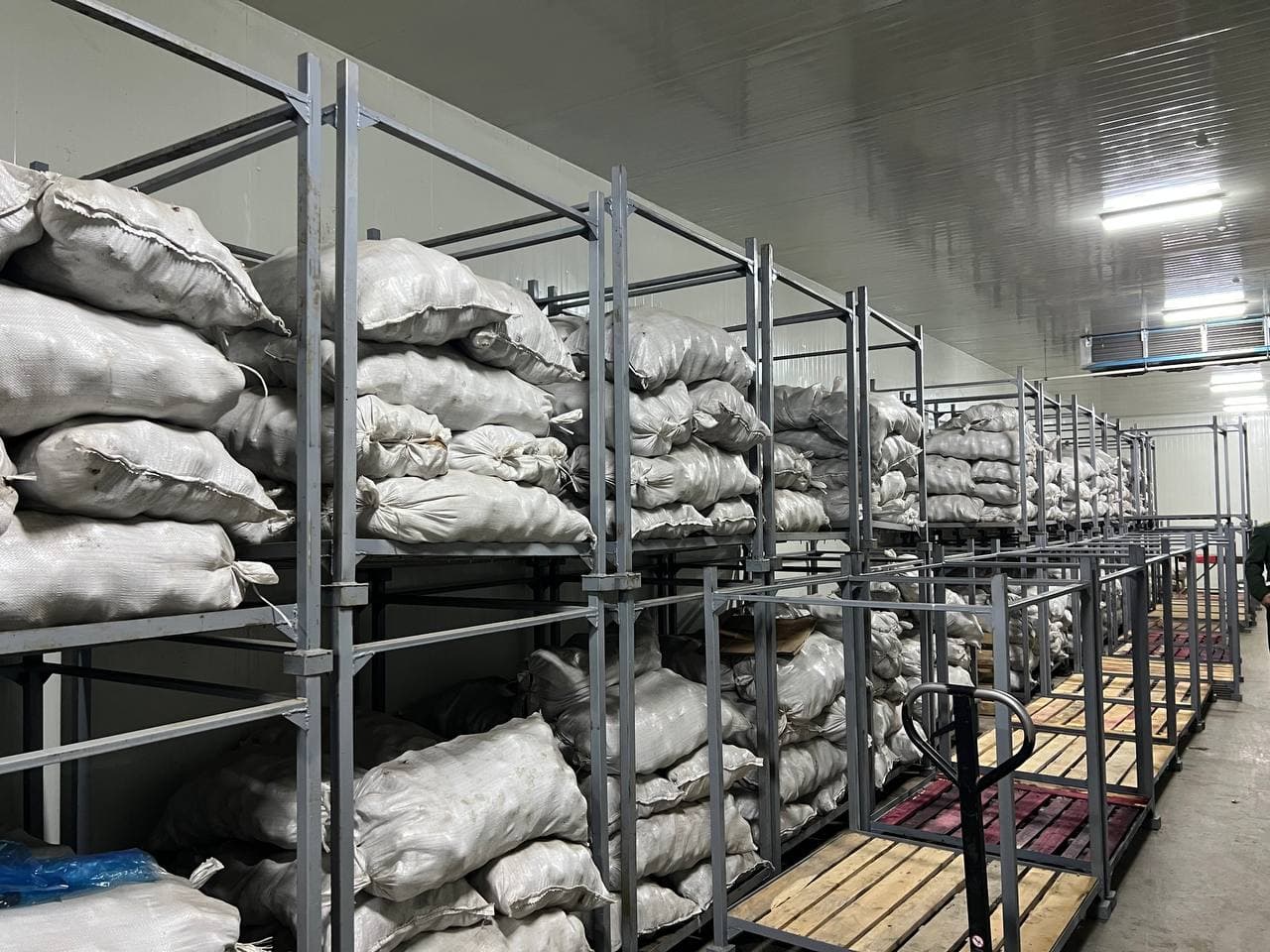 “Ғиждувон Машхураси” МЧЖ: 2025-йил фаолияти ва экспорт натижалари.