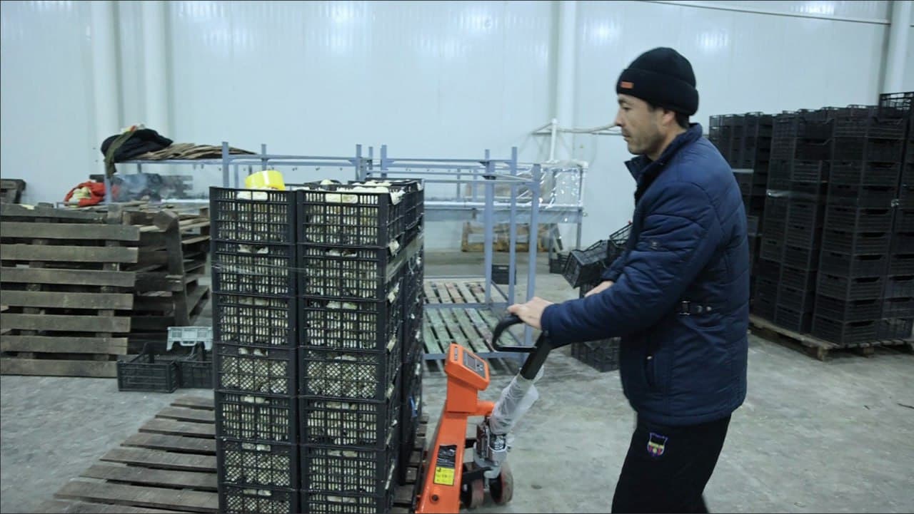 “Ғиждувон Машхураси” МЧЖ: 2025-йил фаолияти ва экспорт натижалари.