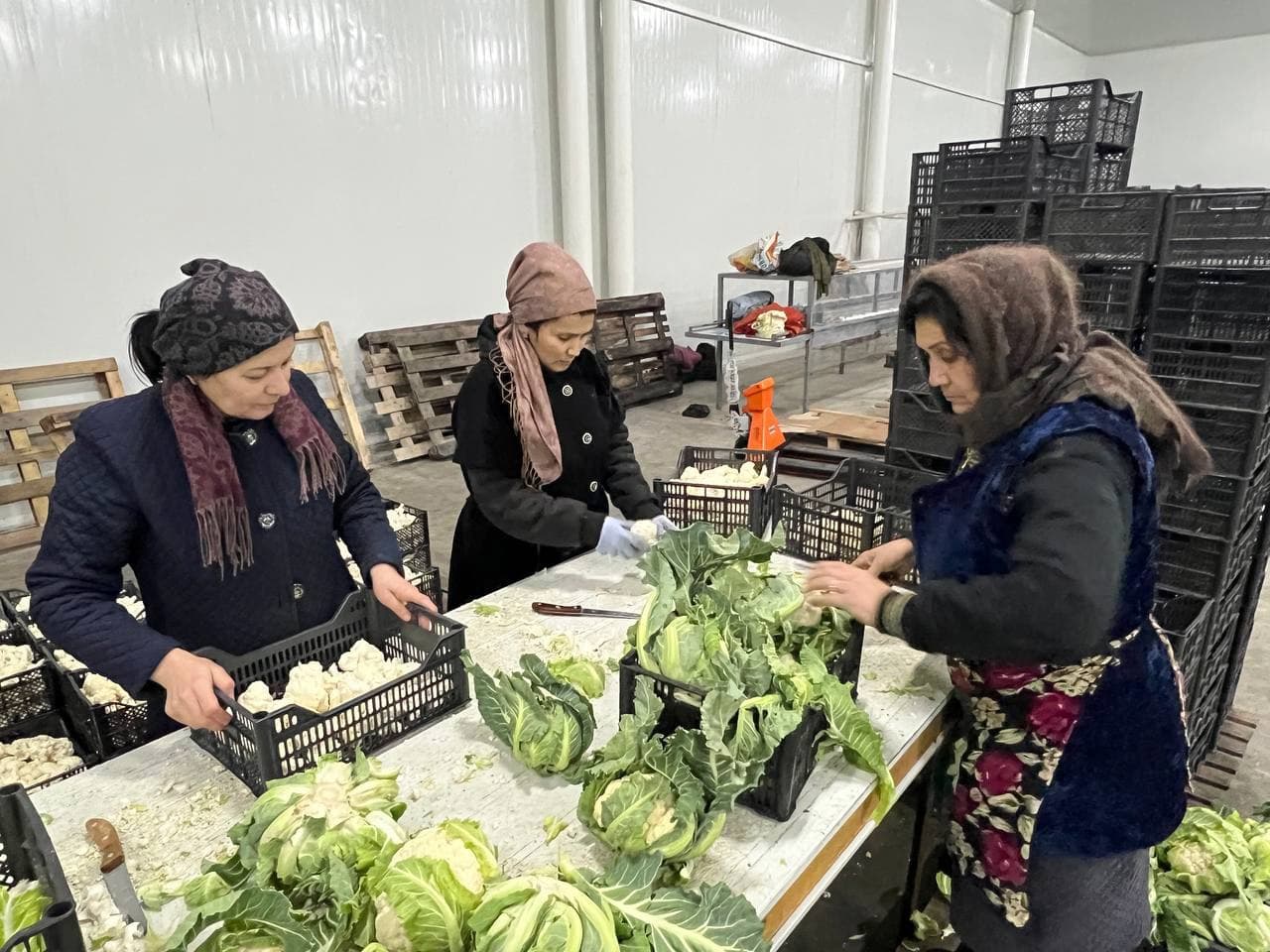 “Ғиждувон Машхураси” МЧЖ: 2025-йил фаолияти ва экспорт натижалари.