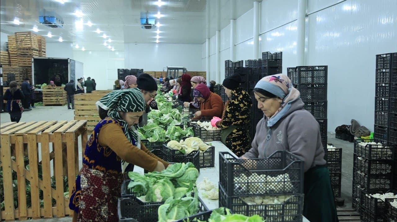 “Ғиждувон Машхураси” МЧЖ: 2025-йил фаолияти ва экспорт натижалари.