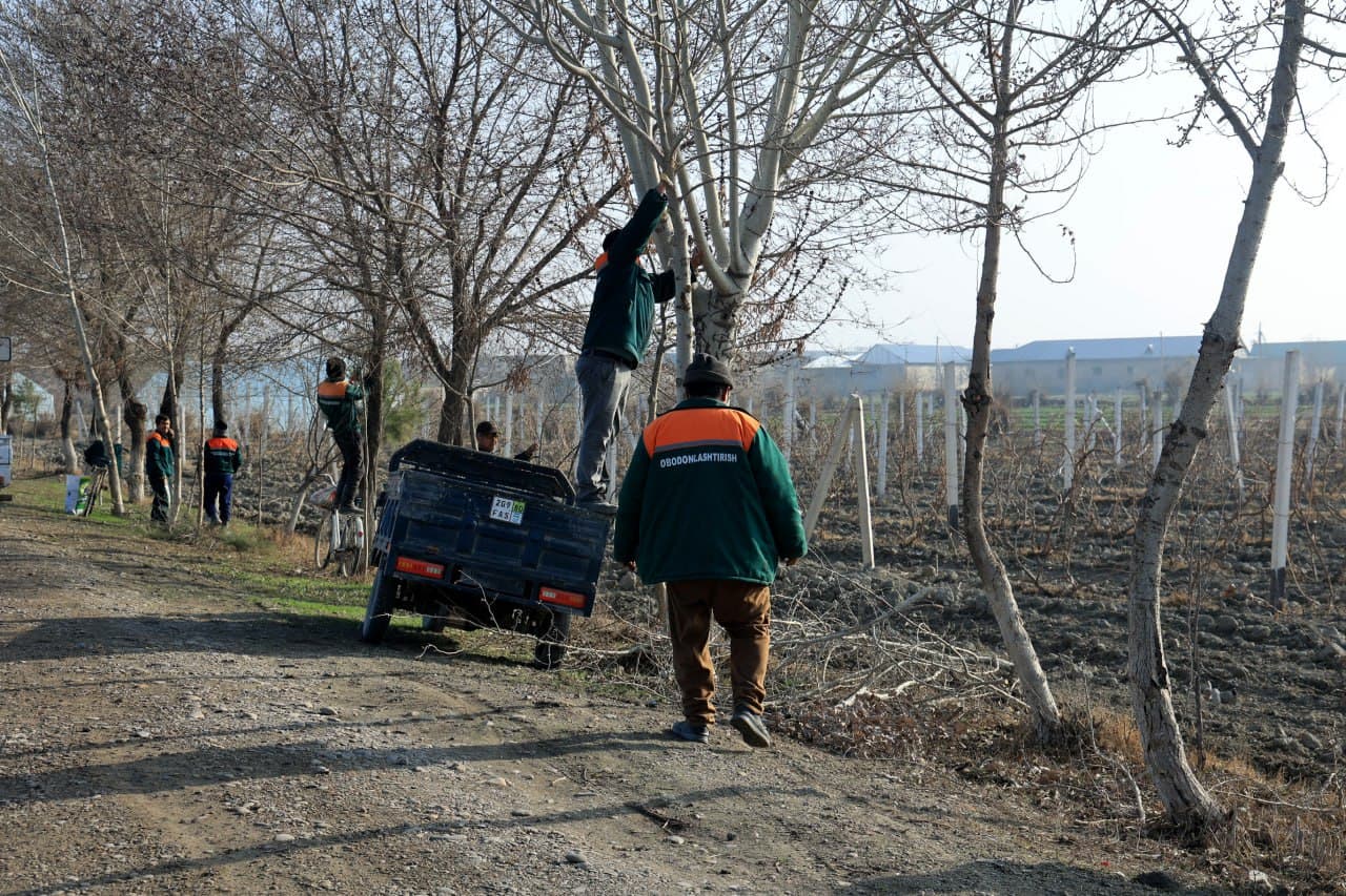 Davlat tili va tartib — har birimizning mas’uliyatimiz!