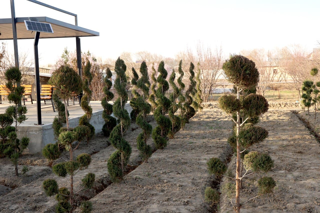 G‘IJDUVONDA YASHILLIK VA OBODLIK ISHLARI — ANIQ NATIJALAR, KATTA MAQSADLAR.