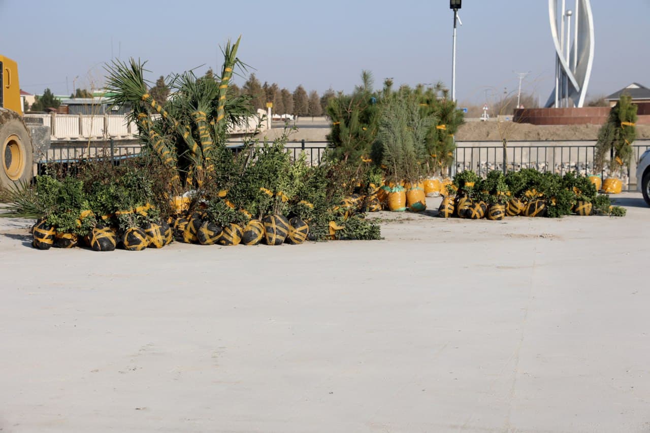 G‘IJDUVONDA YASHILLIK VA OBODLIK ISHLARI — ANIQ NATIJALAR, KATTA MAQSADLAR.