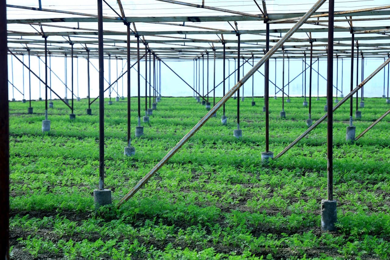 G‘ijduvon tumanida OAV vakillari ishtirokida tashkil etilgan press-tur davomida hududda amalga oshirilayotgan muhim ijtimoiy loyihalar bilan tanishildi.