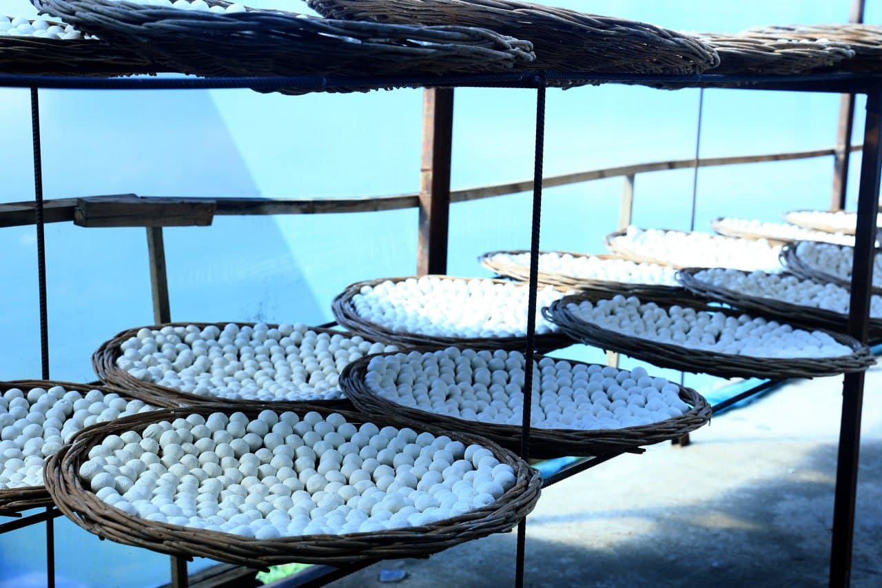 G‘ijduvon tumanida OAV vakillari ishtirokida tashkil etilgan press-tur davomida hududda amalga oshirilayotgan muhim ijtimoiy loyihalar bilan tanishildi.