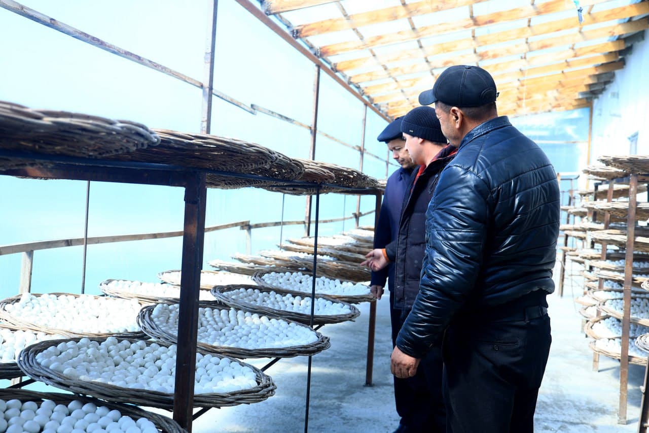 G‘ijduvon tumanida OAV vakillari ishtirokida tashkil etilgan press-tur davomida hududda amalga oshirilayotgan muhim ijtimoiy loyihalar bilan tanishildi.